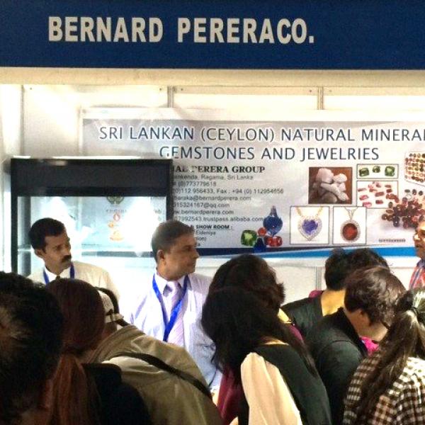 2nd South Asian Expo